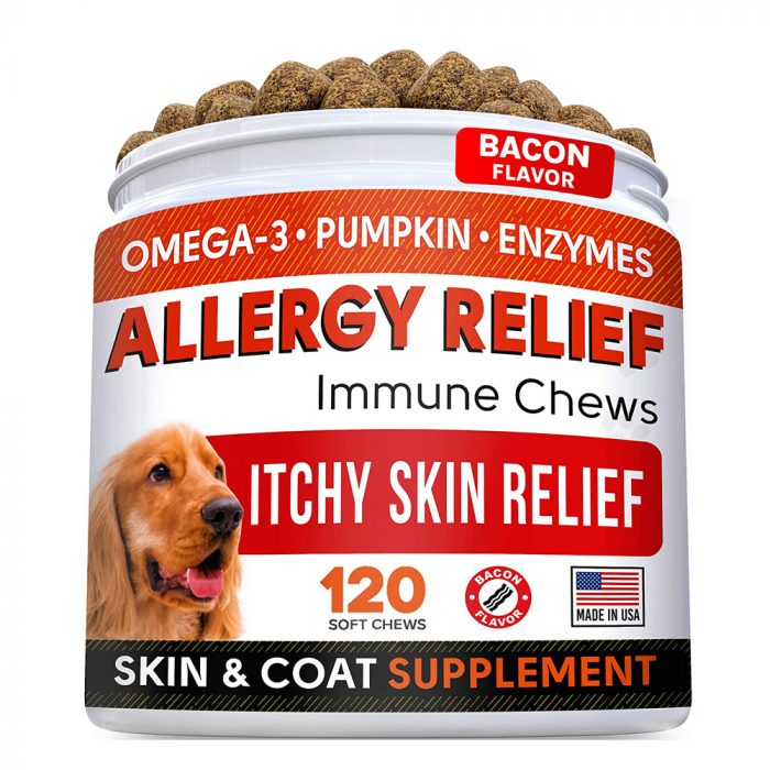 Allergy Relief Dog Treats w/Omega 3 + Pumpkin + Enzymes + Turmeric - Image 1