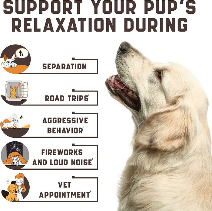 Kinpur Pet Care Calming Chews for Dogs with Hemp Oil - Image 2
