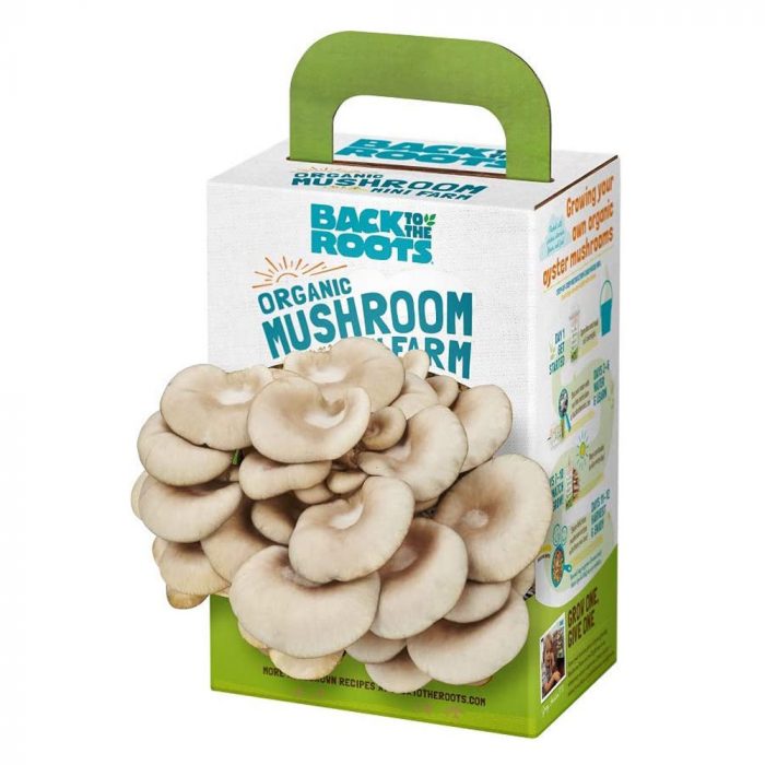 Back to the Roots Organic Mini Mushroom Grow Kit - Image 1