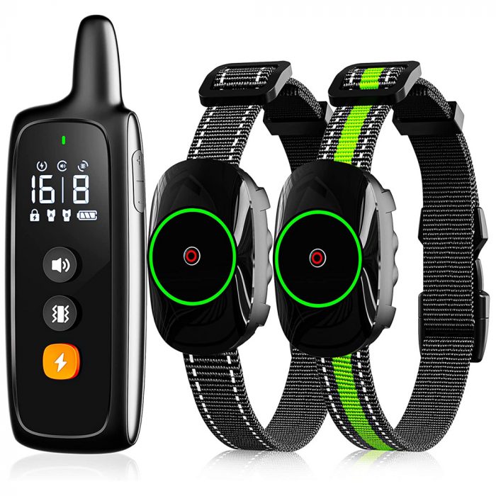 Dog Shock Collar for 2 Dogs - Image 1
