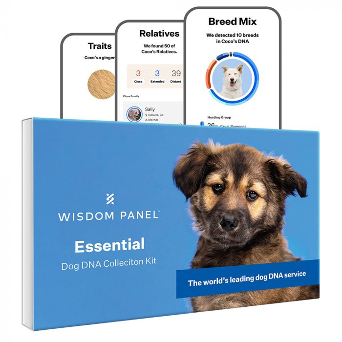 Wisdom Panel Essential: Most Accurate Dog DNA Test Kit for Breed ID and Ancestry - Image 1