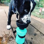 lesotc Upgraded Dog Water Bottle Foldable - Image 2