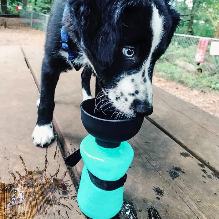 lesotc Upgraded Dog Water Bottle Foldable - Image 2